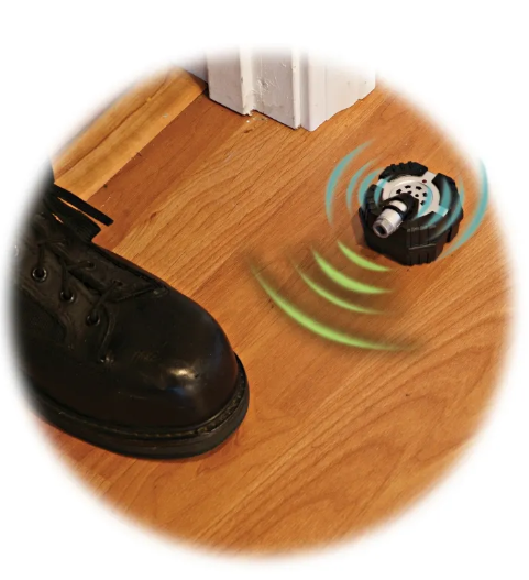 Top Secret Spy Case