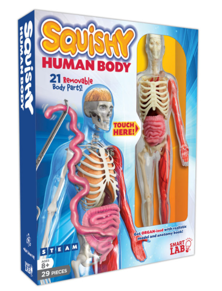Squishy Human Body