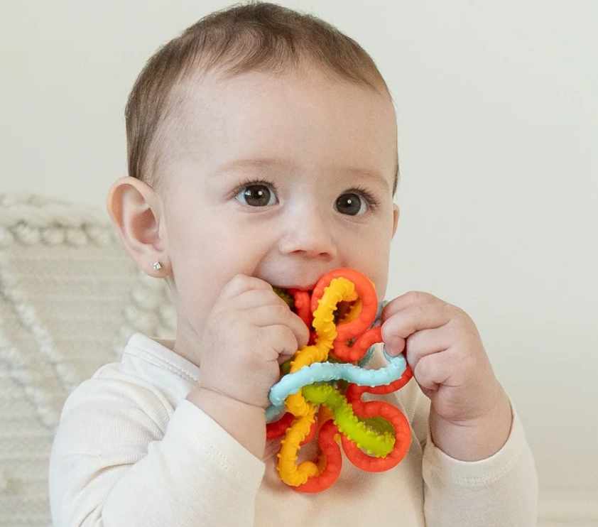 Squiggle Loops Sensory Toy