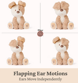 Peeki The Puppy Animated