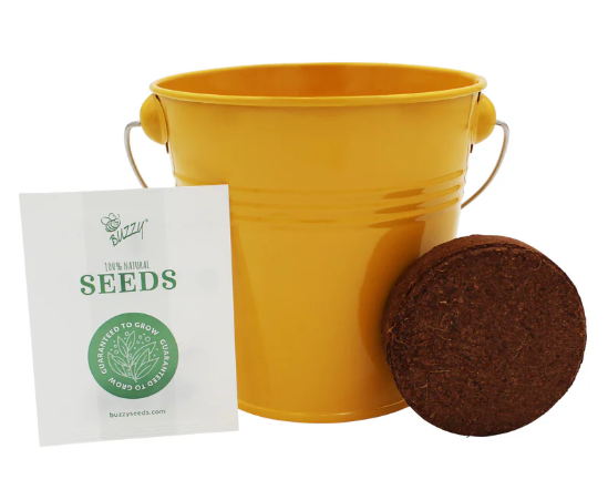 Pollinator Grow Kit  (Sold Individually)