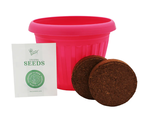 Chaos Garden Flower Grow Kit Buzzy Seeds