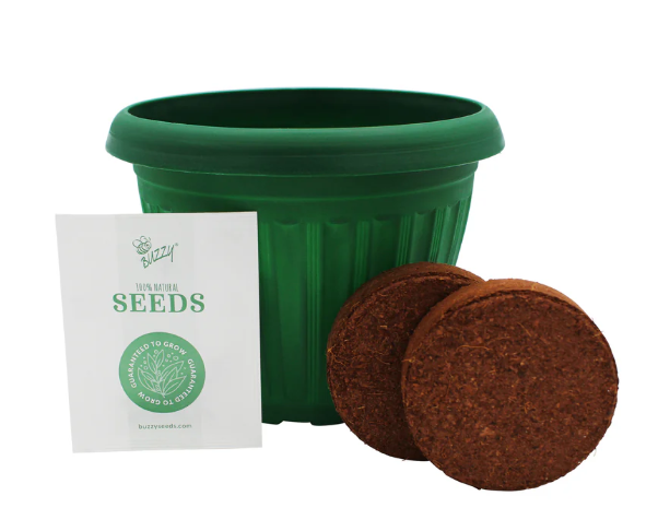 Chaos Garden Flower Grow Kit Buzzy Seeds