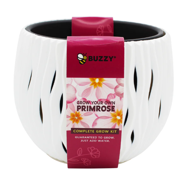 Primrose Flower Grow Kit