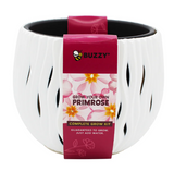 Primrose Flower Grow Kit