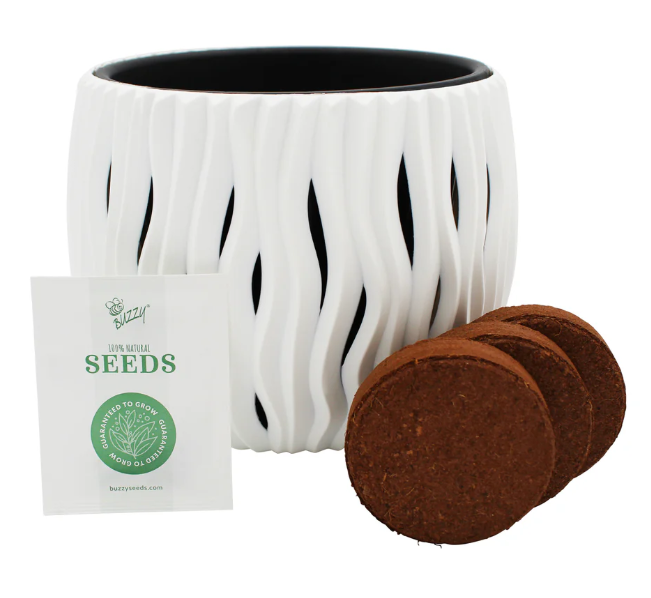 Primrose Flower Grow Kit