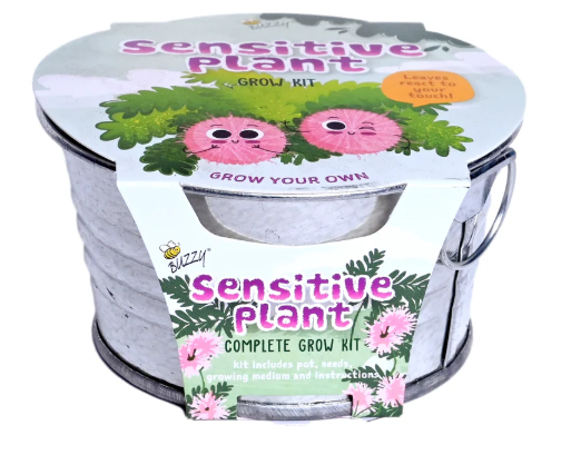 Sensitive Plant Kids Mini Painted Basin
