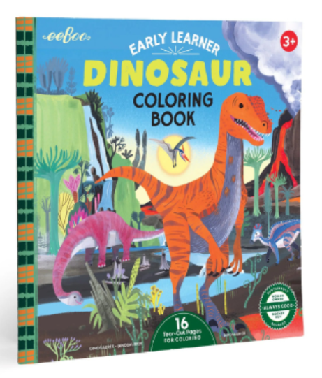 Dinosaur Square Coloring Book