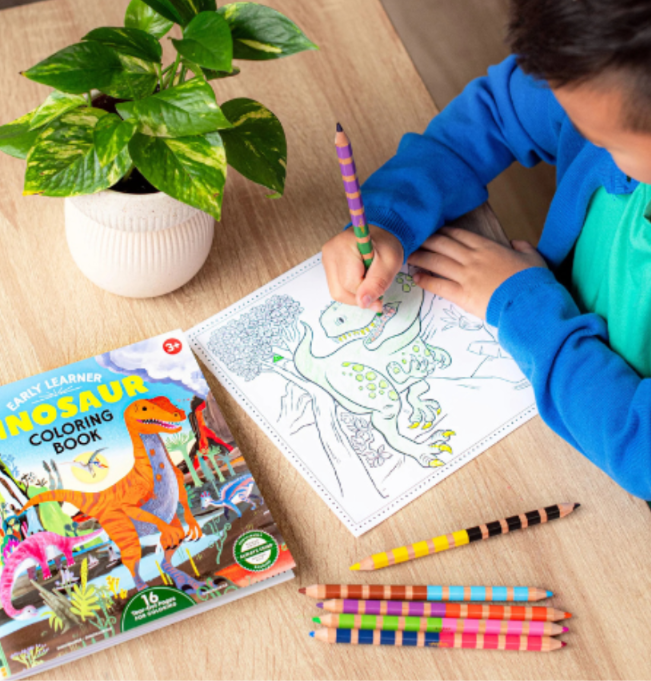 Dinosaur Square Coloring Book