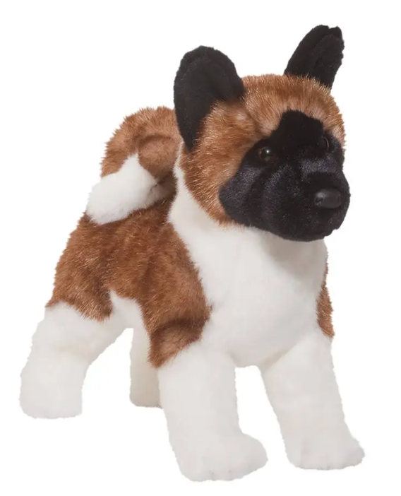Kita Akita Standing