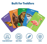 First 100 Animals Flash Cards