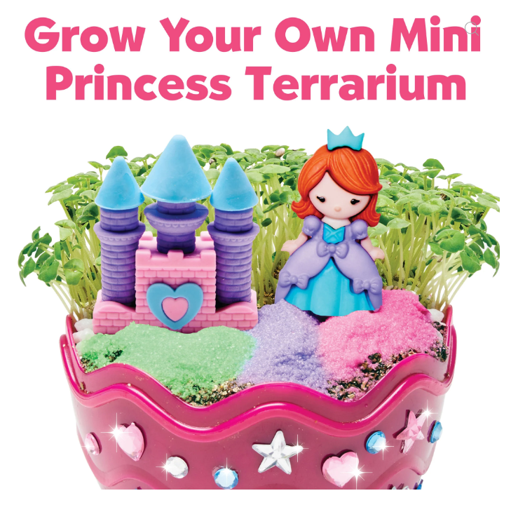 Princess Mini Garden