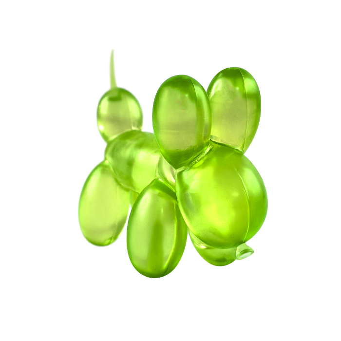 Gummy Balloon Dog Squishy