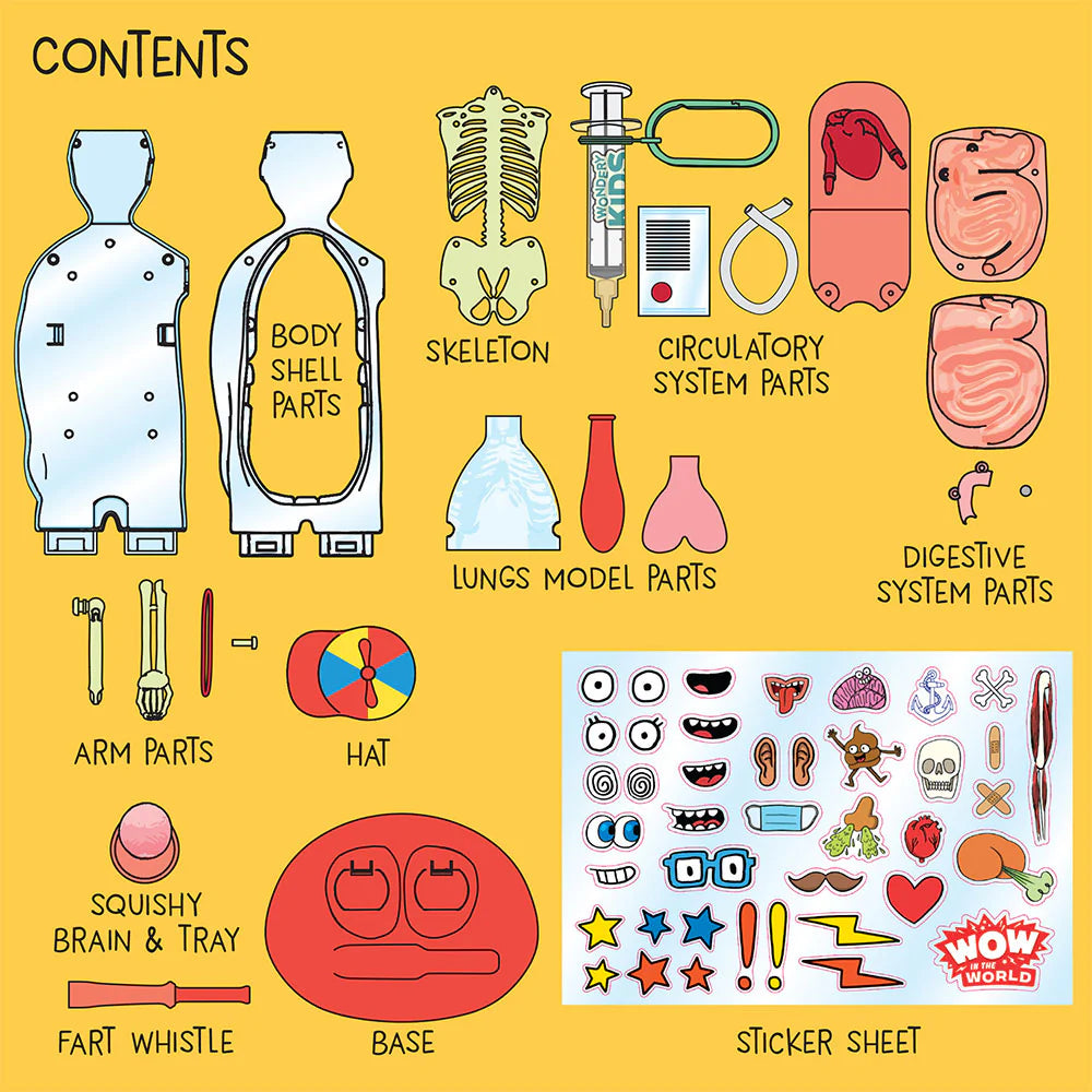 Wow in the World: The Amazing Human Body
