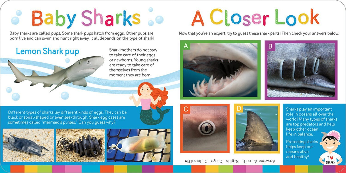 Smithsonian Kids Sharks