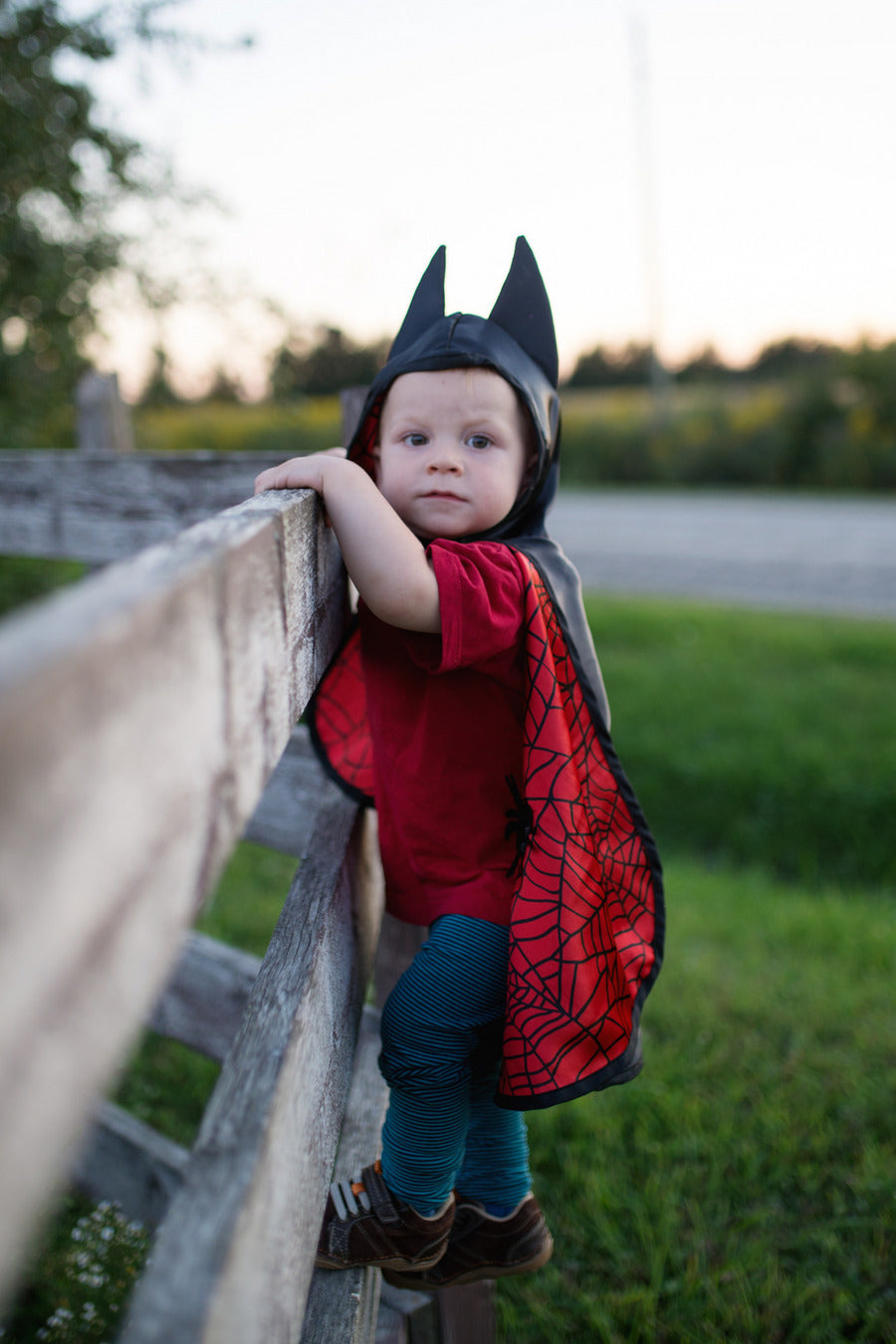 Baby Reversible Spider Bat Cape (Size 2-3T)