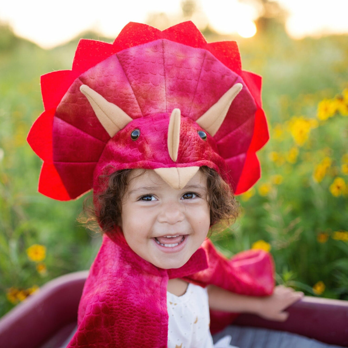 Baby Triceratops Dinosaur Cape