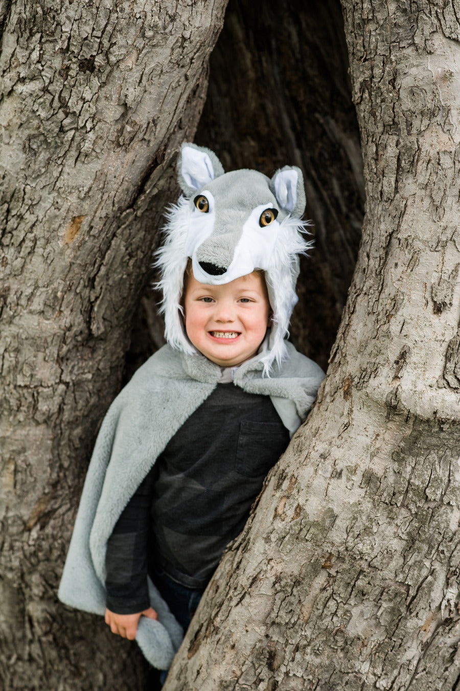 Woodland Storybook Wolf Cape