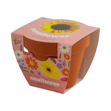 Classic Sunflower Terra Cotta