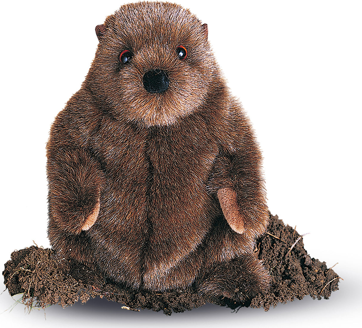 Chuckwood Groundhog