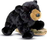 Boulder Black Bear