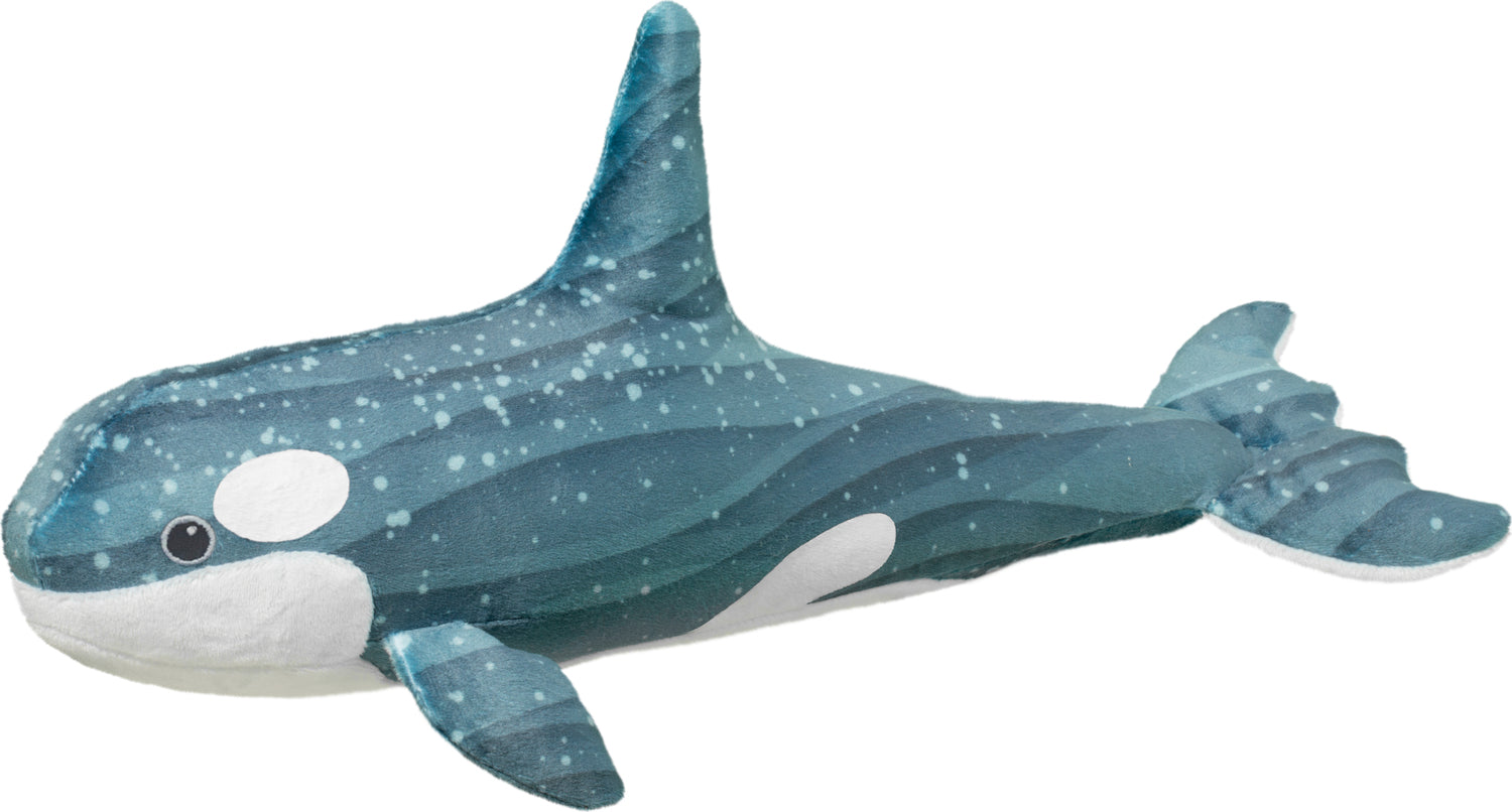 フェニックス　DIGENITE THERMO ORCA SHELL doug4660.jpg?v=1725657559&