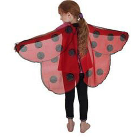 Ladybird Wings