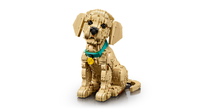 LEGO® Icons Golden Retriever Puppy