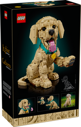 LEGO® Icons Golden Retriever Puppy