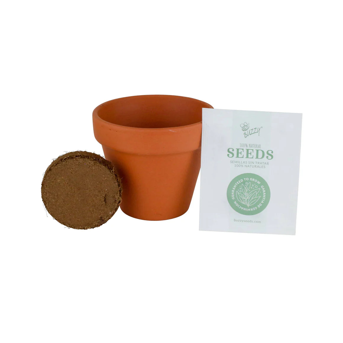 Classic Sunflower Terra Cotta