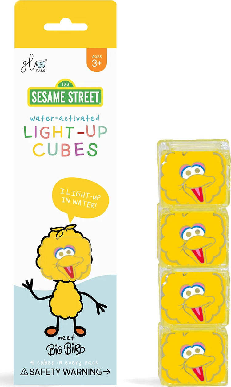 Glo Pals Light-Up Cubes (Big Bird)