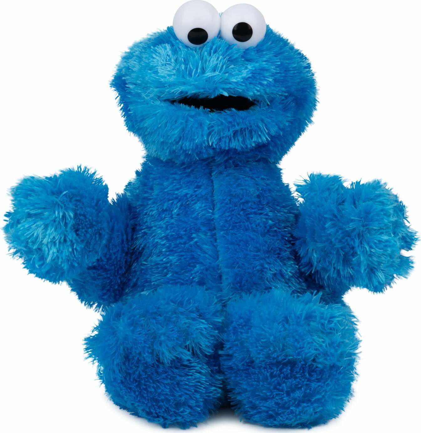 Sesame Street Cookie Monster, 12 In – Fun Stuff Toys