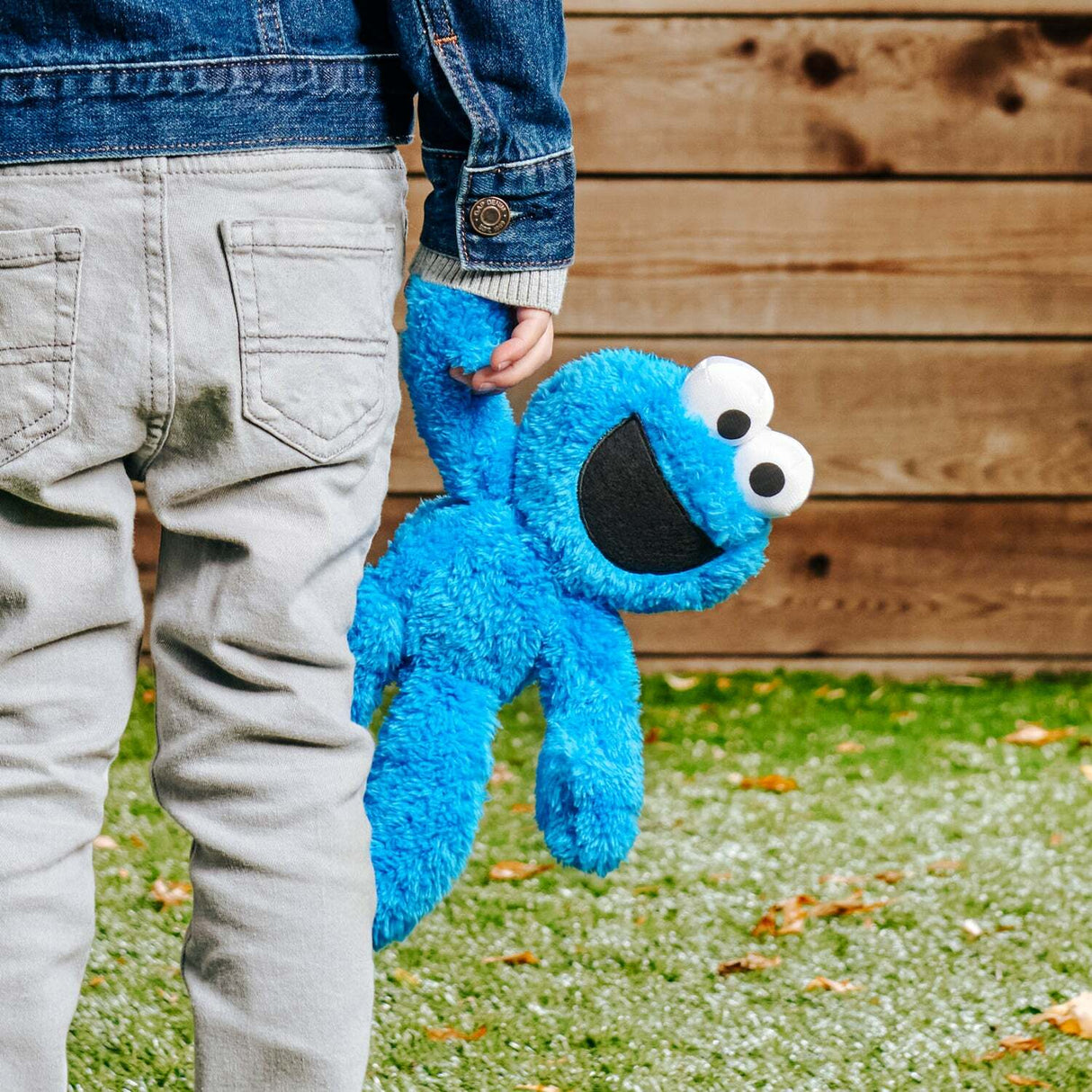 Sesame Street Cookie Monster Take Along Buddy, 13 In