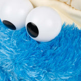 Sesame Street Teach Me Cookie Monster, 15 In