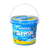 Ocean Sensory Surprise
