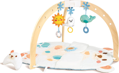 Snuggle Bear Activity Gym