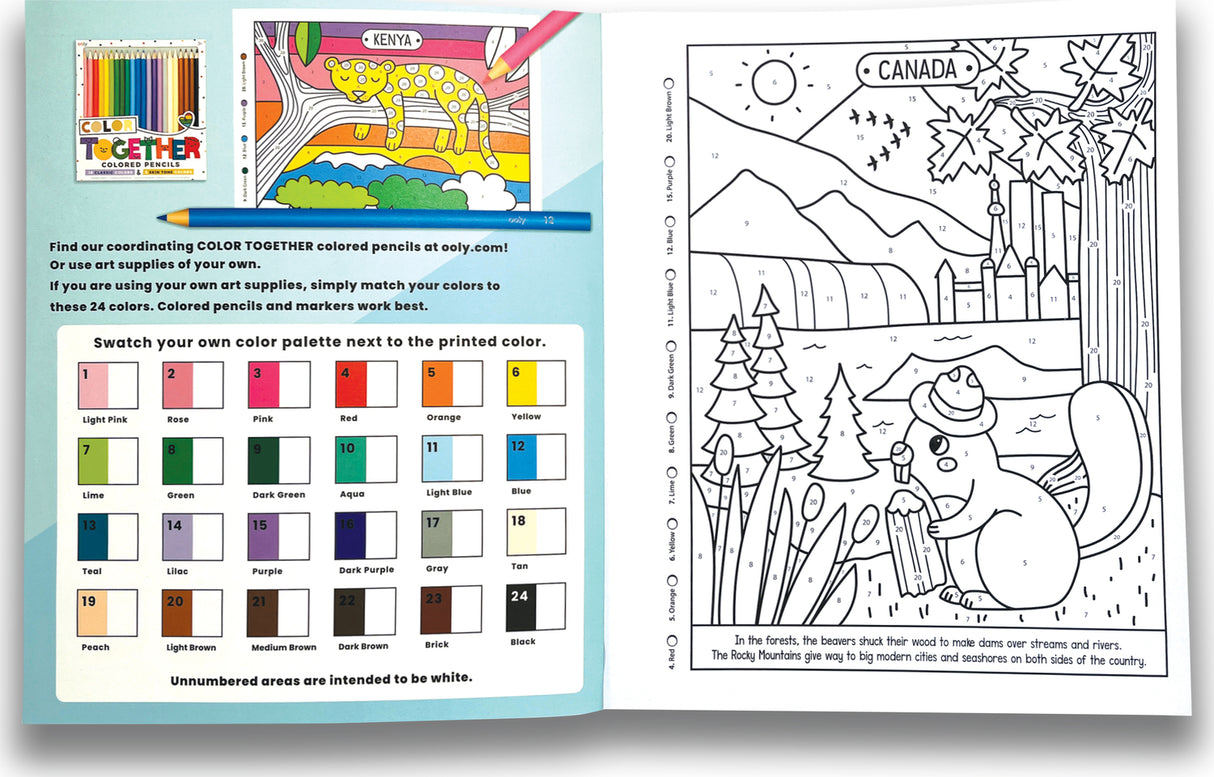 Color By Numbers Coloring Book - Wonderful World