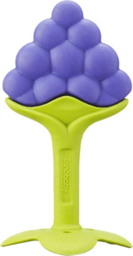 EZ Grip Fruit Teether (Grape)