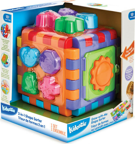 2-In-1 Shape Sorter