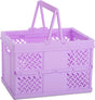 Small Lavender Foldable Storage Crate