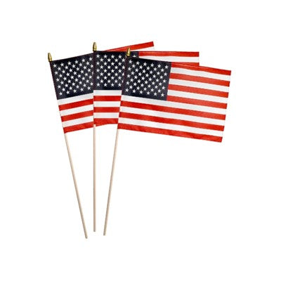 American Flag 12" X 18"
