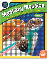 Cbn: Mystery Mosaic: Book 9