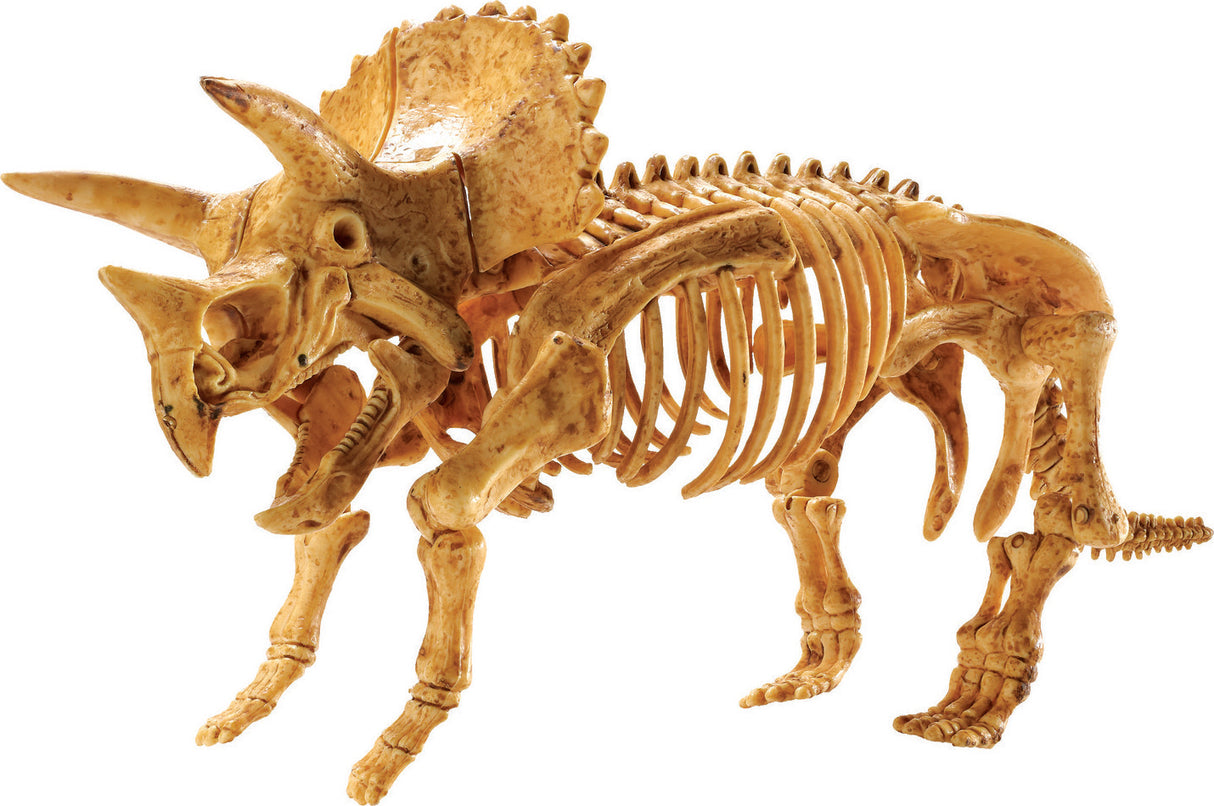 Dig It Up!: Triceratops