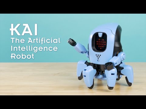 Kai: The Artificial Intelligence Robot