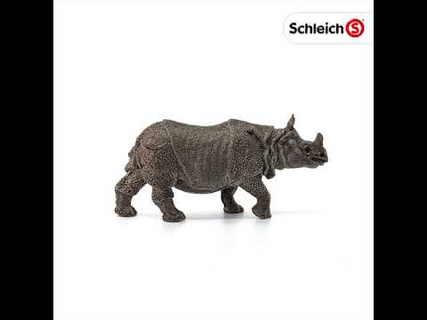 Indian Rhinoceros