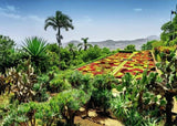 Botanical Garden Madeira 1000 Piece Puzzle