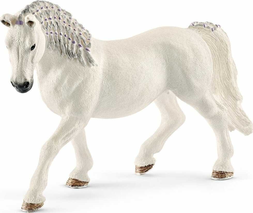 Lipizzaner Mare