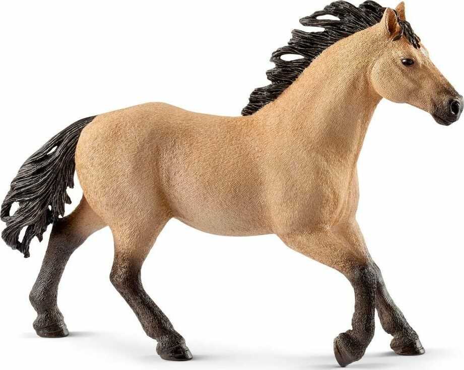 Quarter Horse Stallion