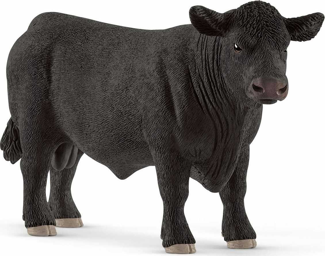 Black Angus Bull