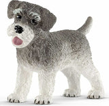 Miniature Schnauzer